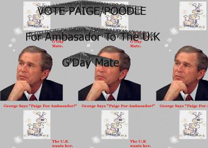 Paige For Ambasador