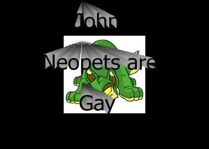 Neopets is Gay