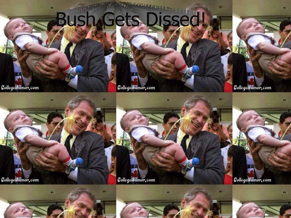 bushdissed