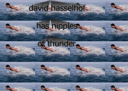 haselhos thundery niplles