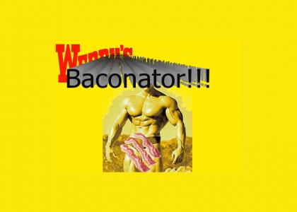 wendy's baconator!!!