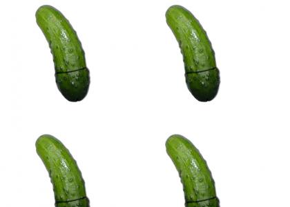 Flesh Pickle