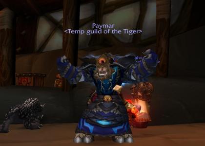 Temp Guild of the Tiger