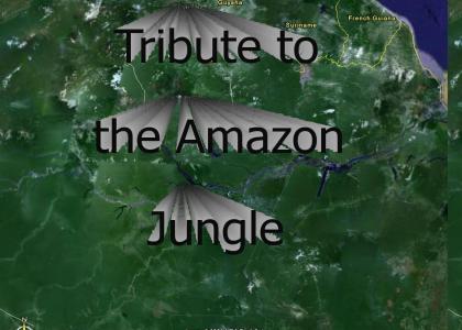 Tribute to the Amazon