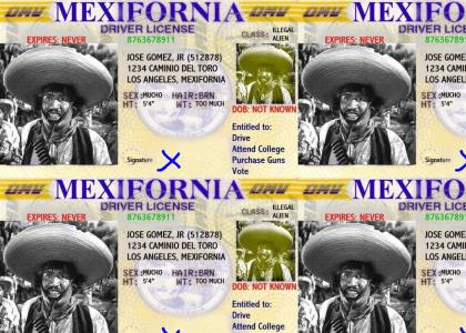 Mexifornia Drivers License
