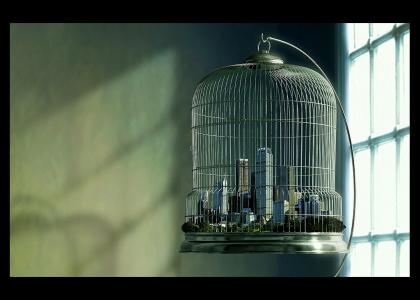 Caged City