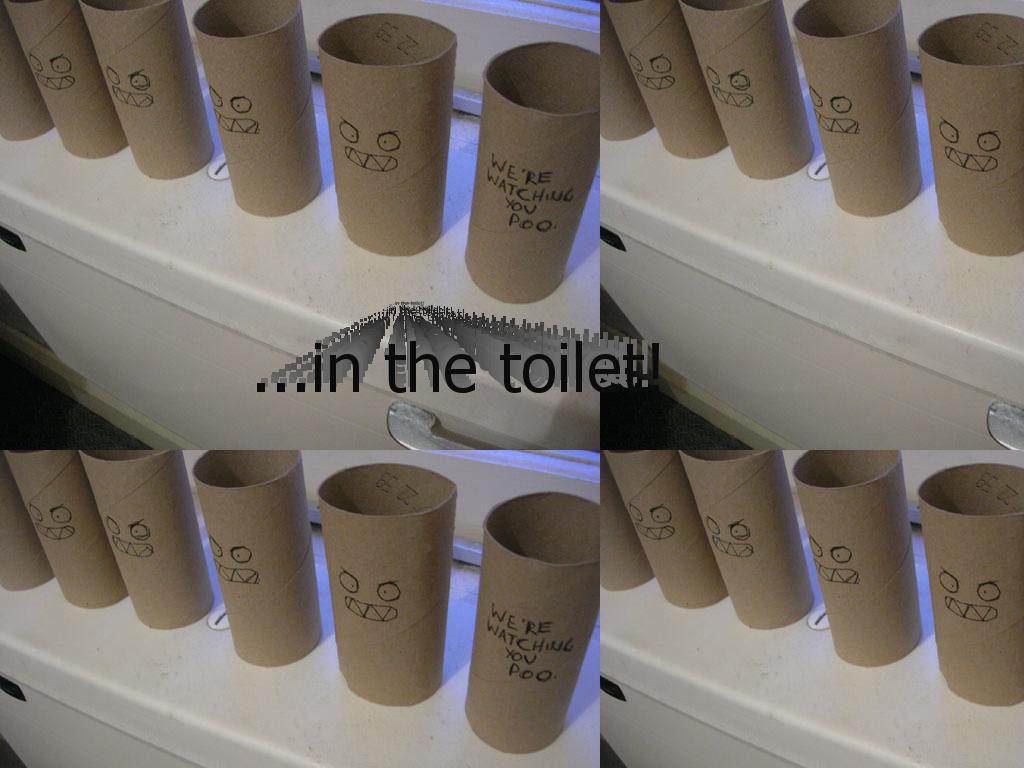 toilettrolls