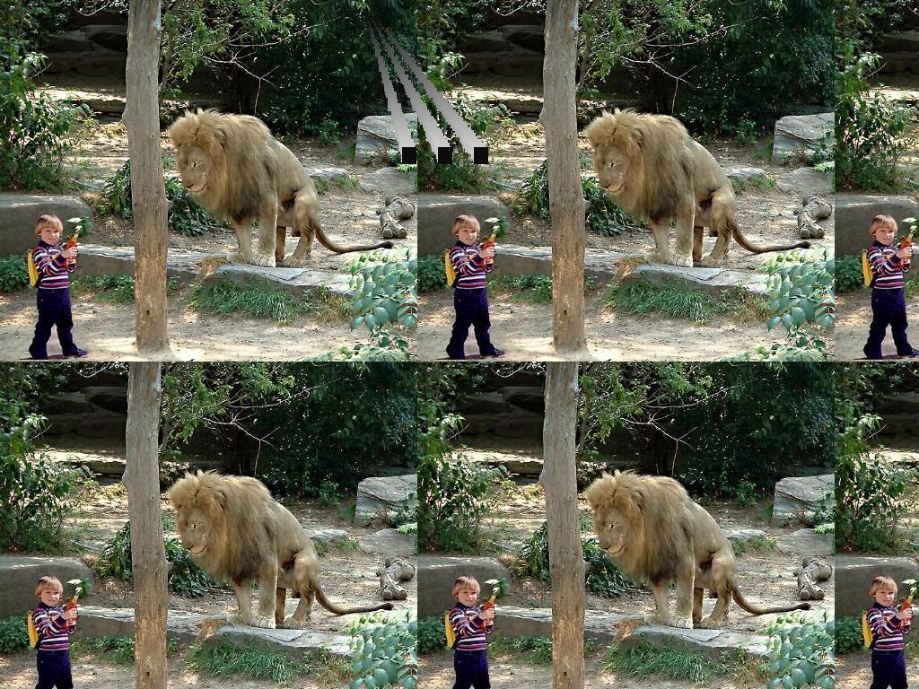 zookid