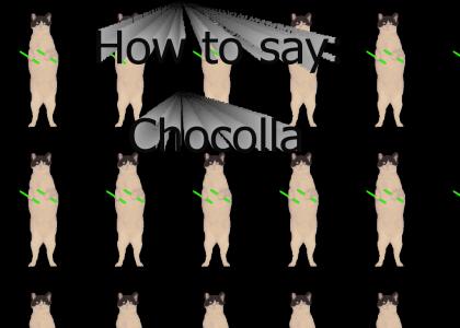 How To Say Chocolla