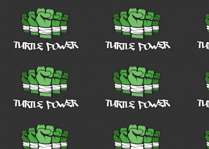 Power to the Turtle