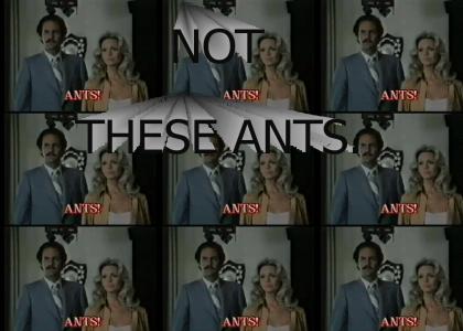 But We've Always Had Ants