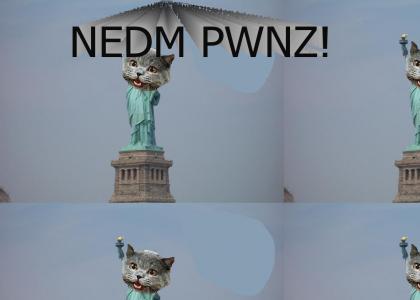 A tribute to NEDM
