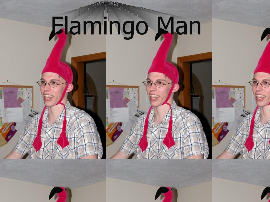 flamingoman