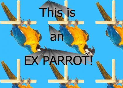This is an Ex Parrot
