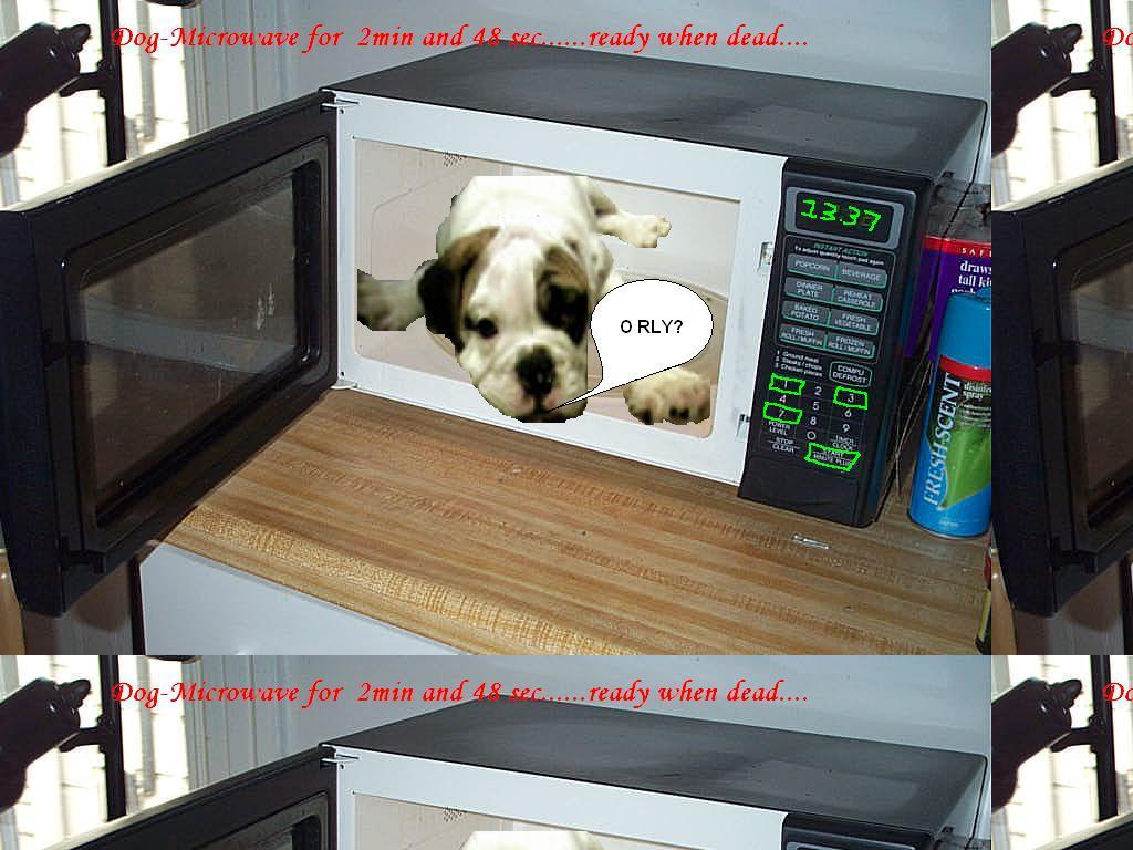 microwavedog