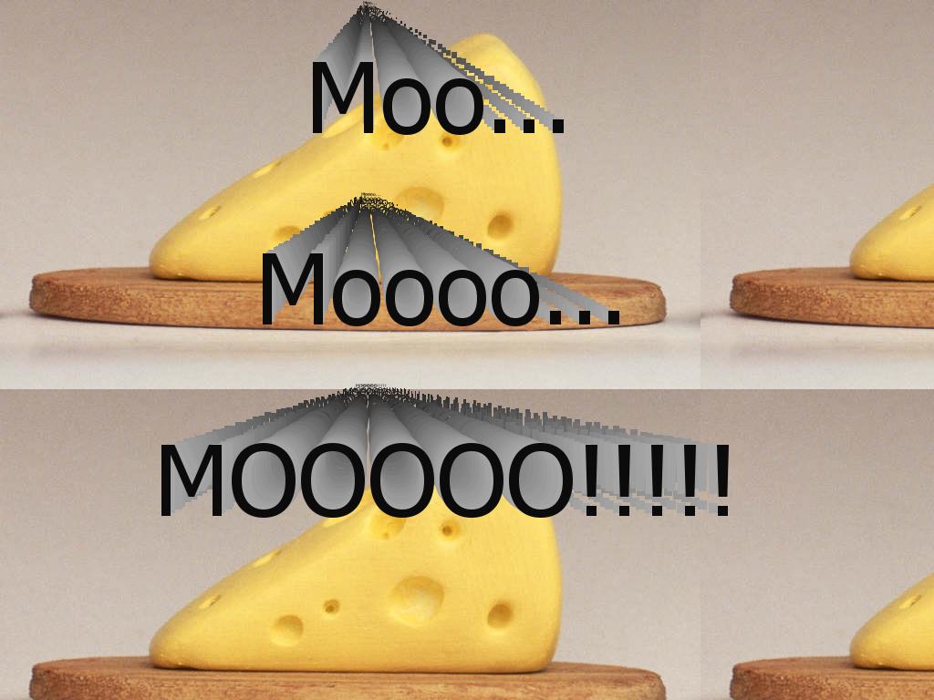 MOOMOOCHEESE