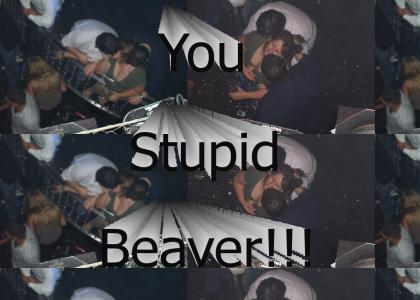 Stupid Beaver!