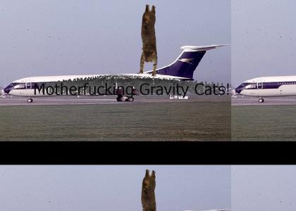 Gravity Cat on a Plane