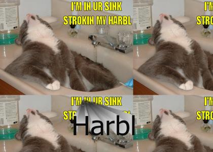 I'm in ur sink, strokin' my harbl.