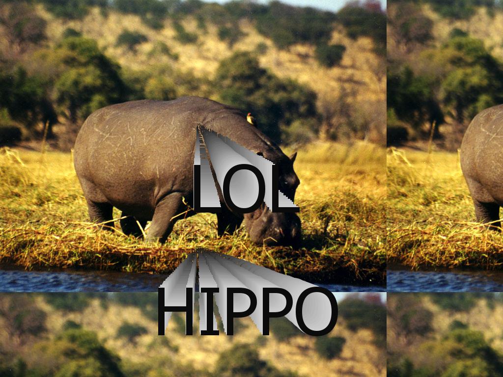 hippocrazy