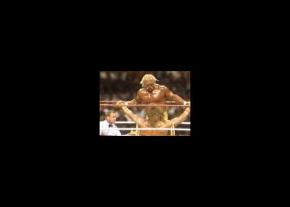 Warrior touches Hogan's Tralala
