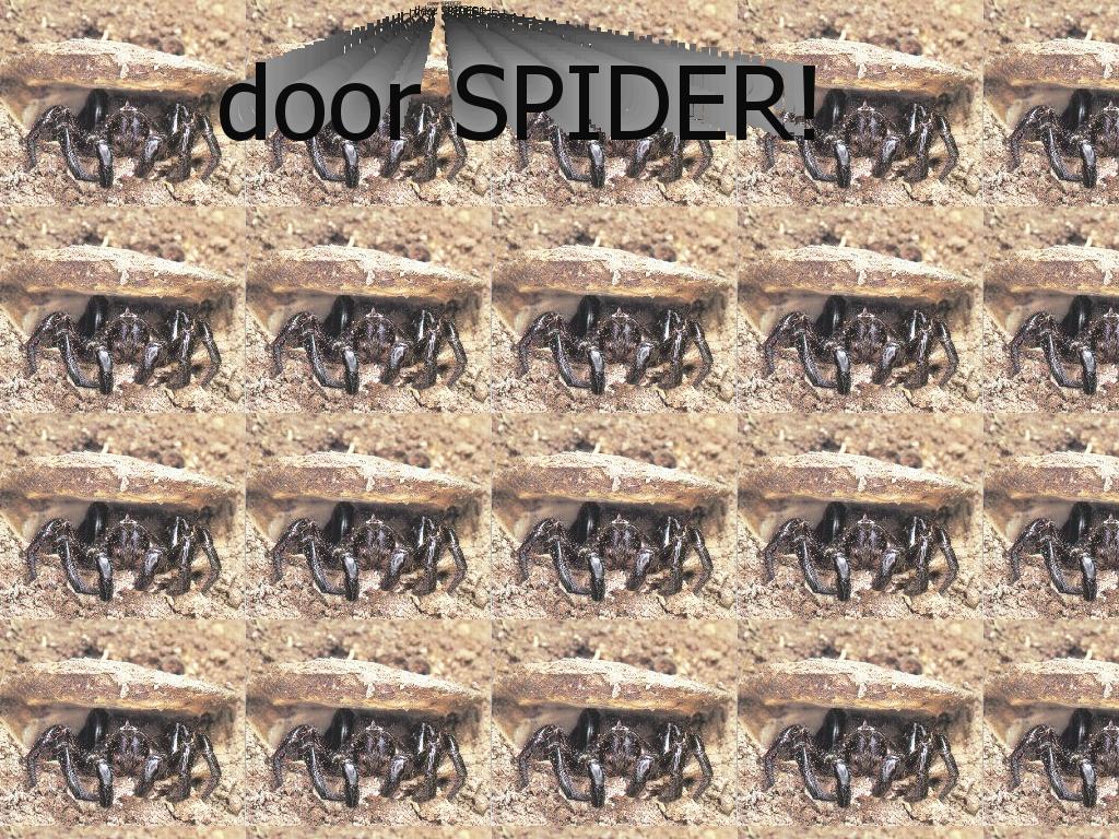 trapdoorspiders