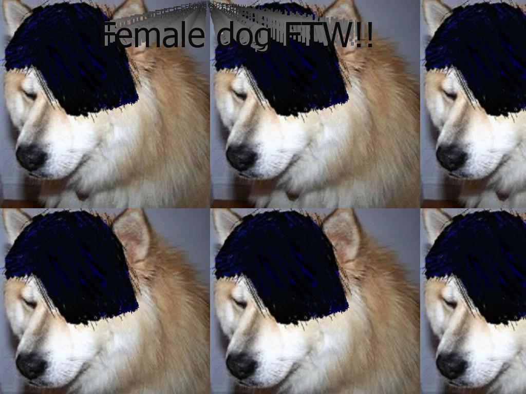 femaledoglol