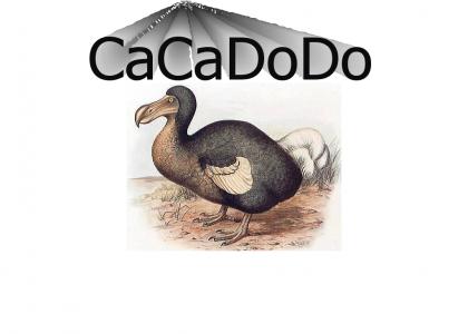 CaCaDoDo