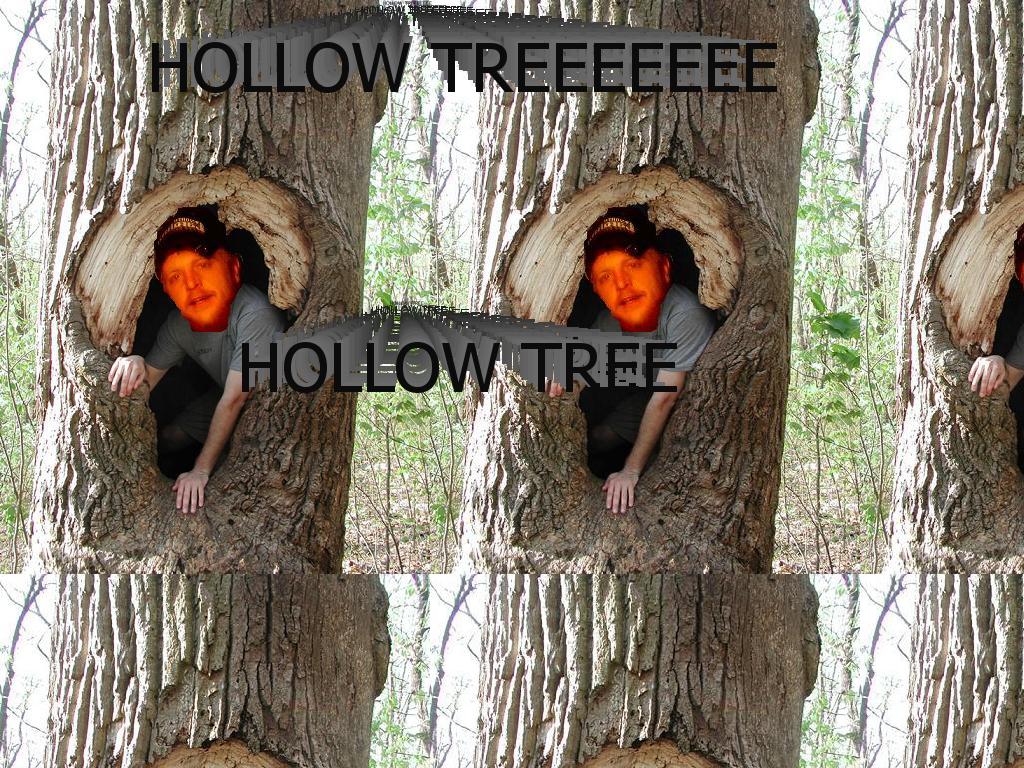 hollowtree