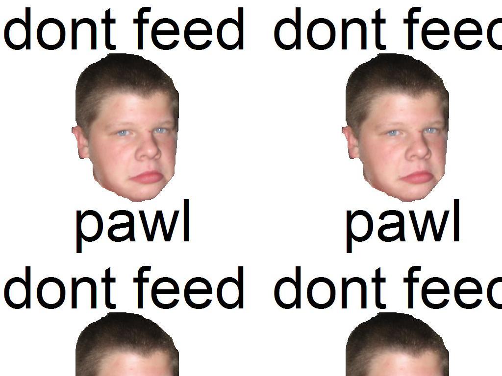 dontfeedpawl