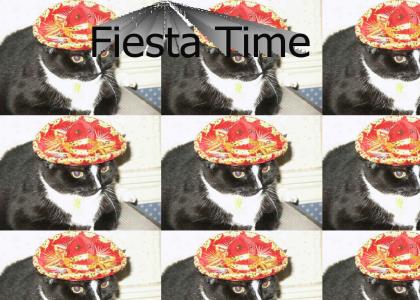 Kitty loves the Mexican Hat Dance