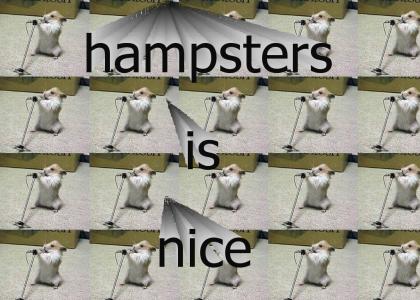 hampsters is nice...