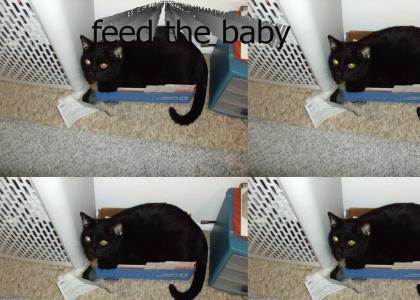 feed the baby
