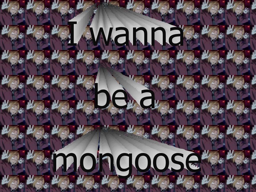 edwardmongoose