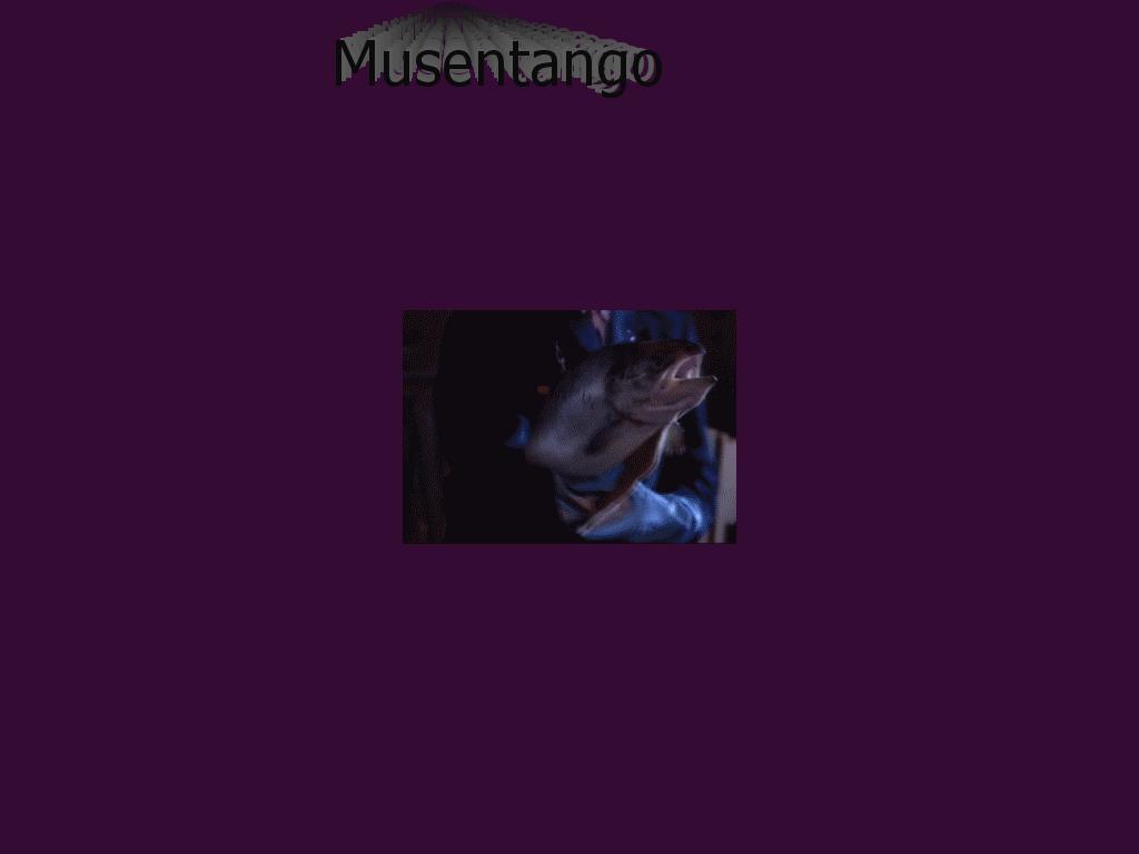 musentango