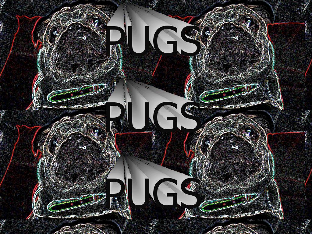 pugzoom