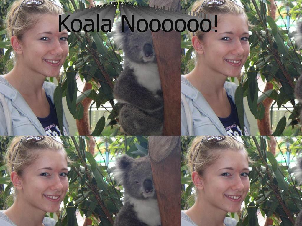 koalapeppers