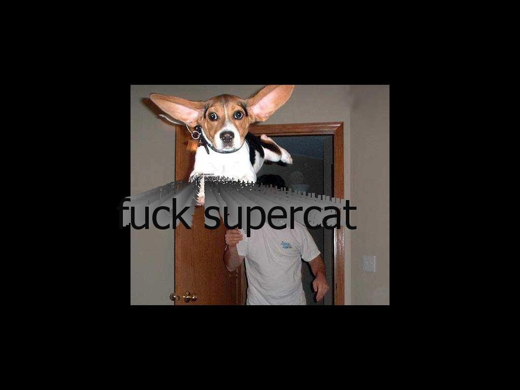 fucksupercat