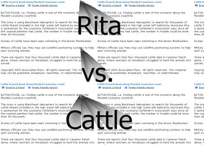 Rita vs. Cattle