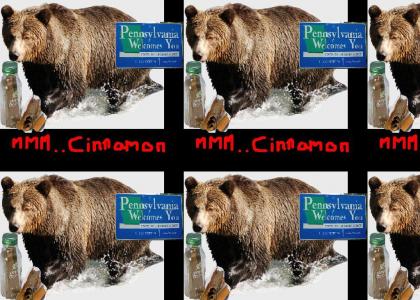 The Elusive Pennsylvania Cinnamon Bear