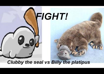 Clubby the Seal