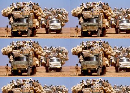 How arabs move