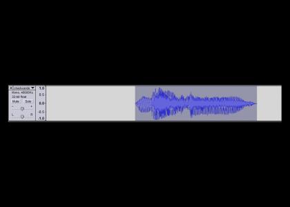 Chad Wardenn Comments on the Audio Waveform of Himself saying BALLIN