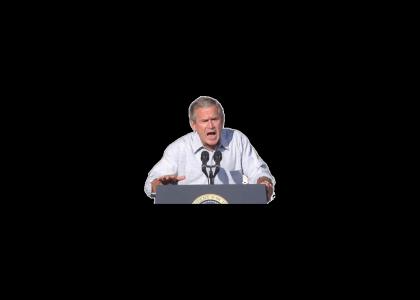Bush's speech