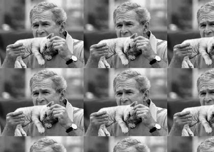 George Bush Loves Kittens