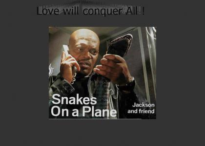What is snakes on a plane?!