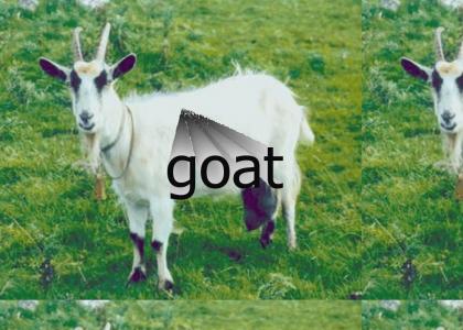goat goat goat