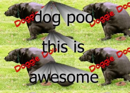 dog poo this is awesome