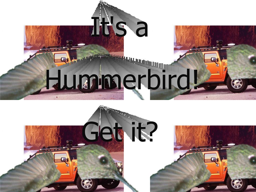 hummerbird