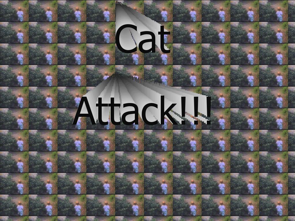 catattack
